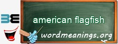 WordMeaning blackboard for american flagfish